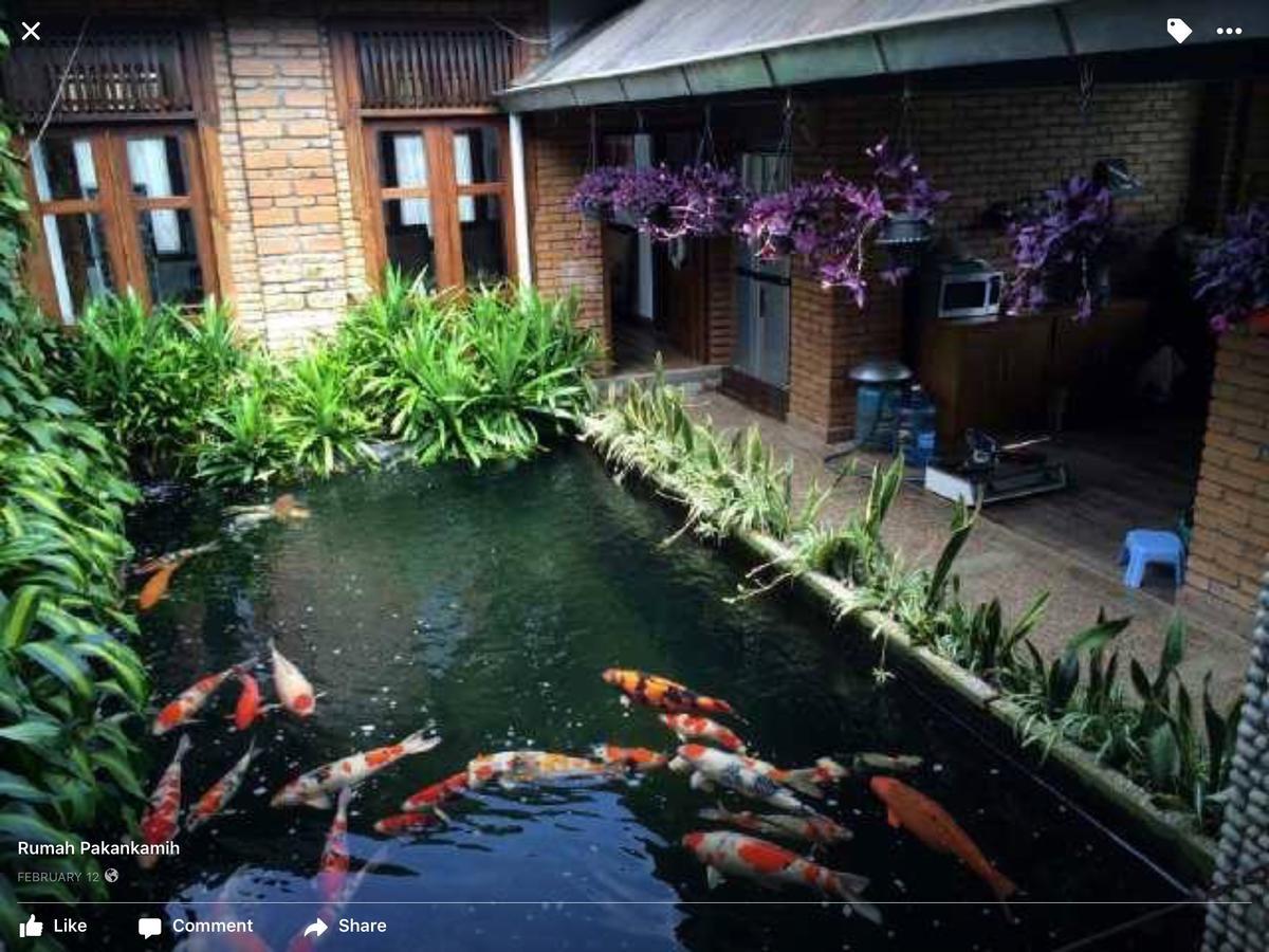 Rumah Pakankamih Bukittinggi Buitenkant foto