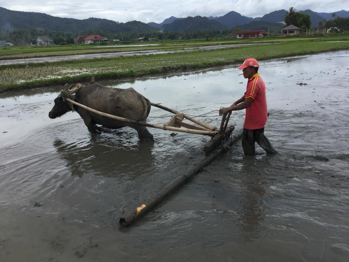 Rumah Pakankamih Bukittinggi Buitenkant foto