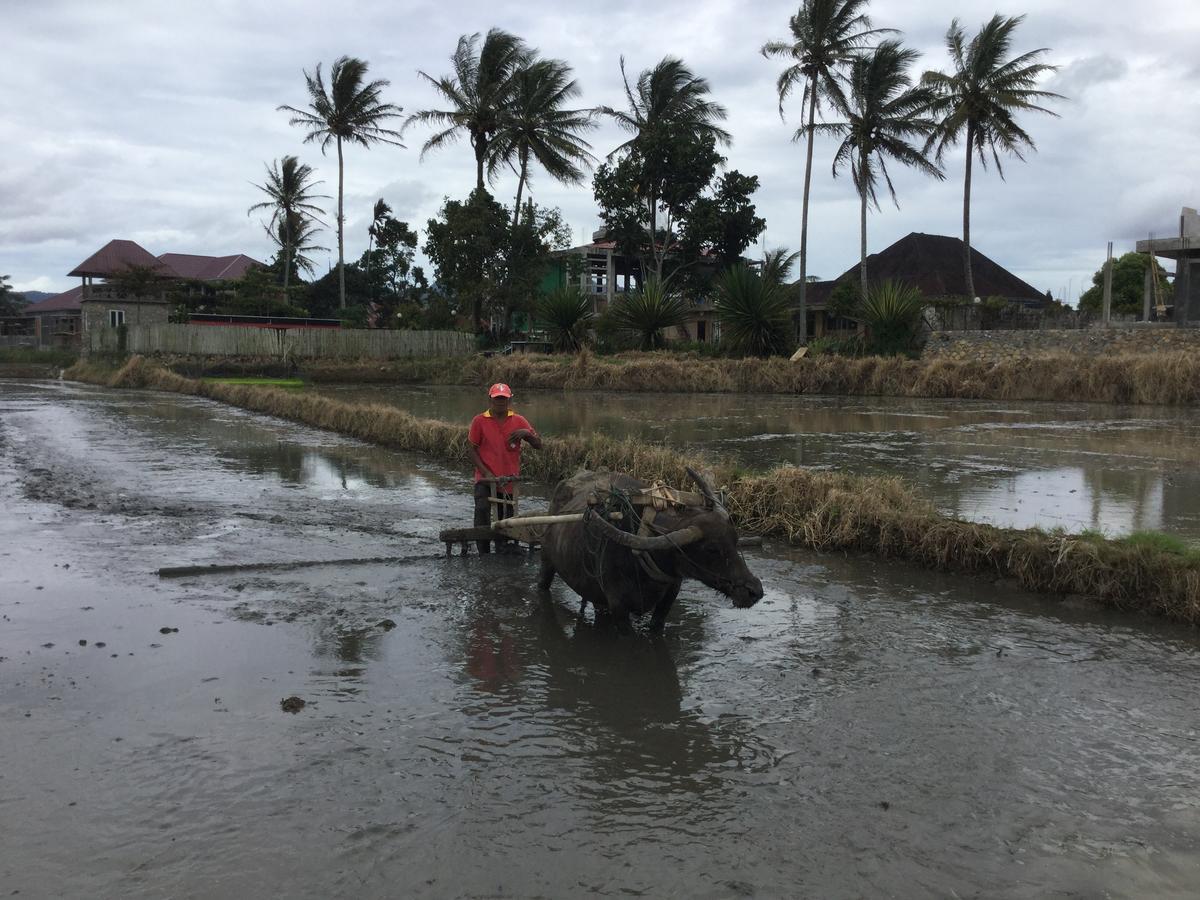 Rumah Pakankamih Bukittinggi Buitenkant foto