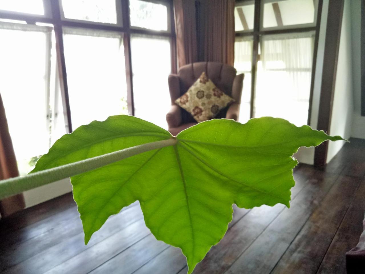 Rumah Pakankamih Bukittinggi Buitenkant foto